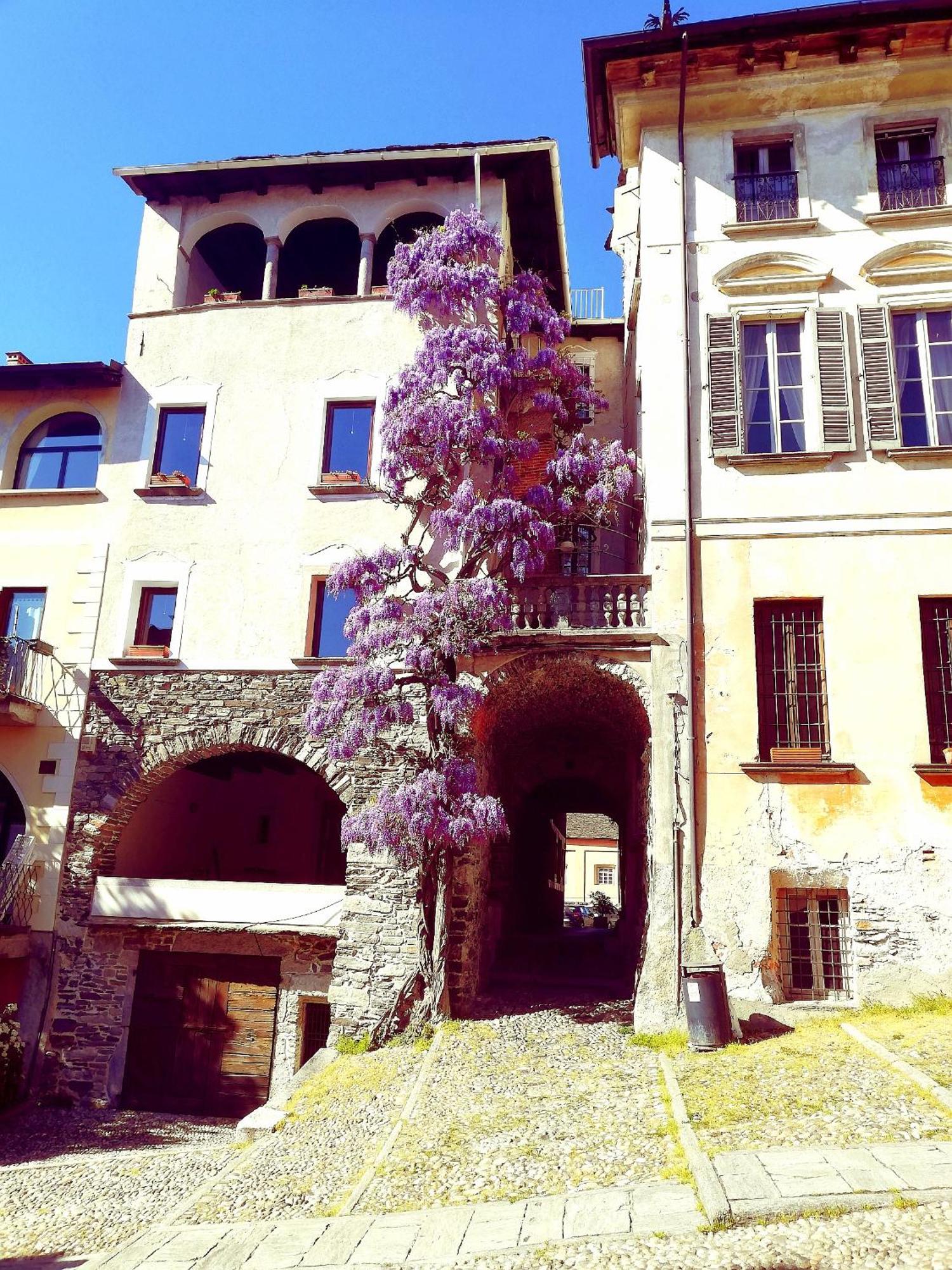 Casa Longhi Apartment Orta San Giulio Exterior photo